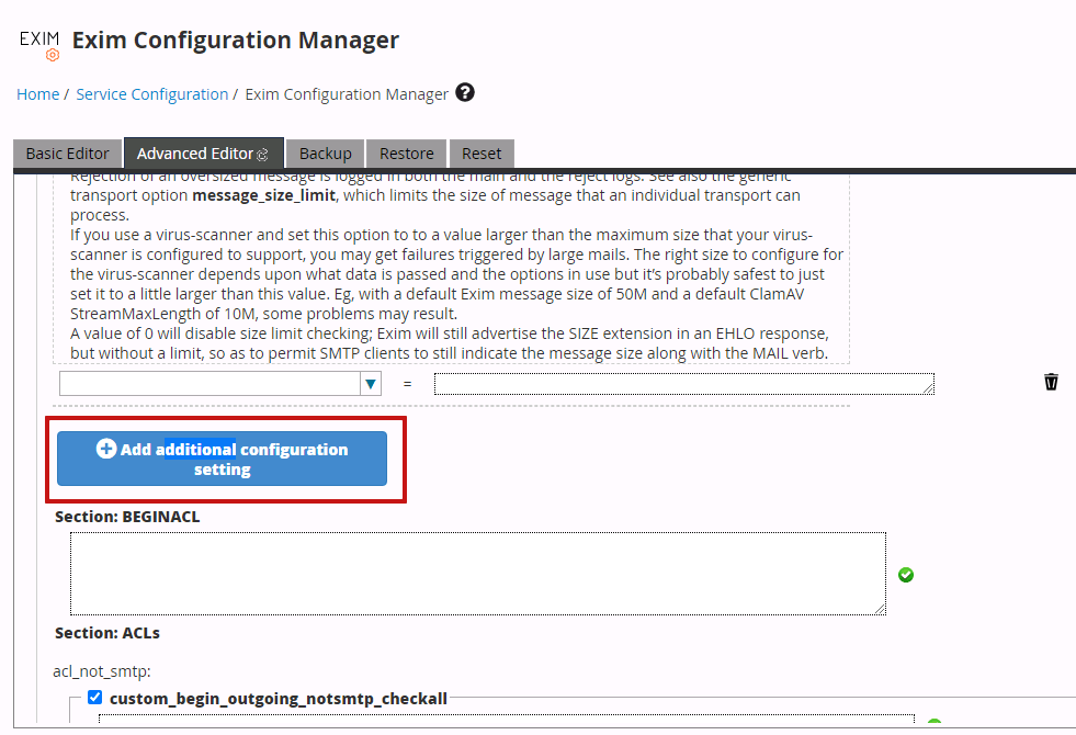 exim additional configuration setting