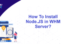Install Node.JS in WHM Server