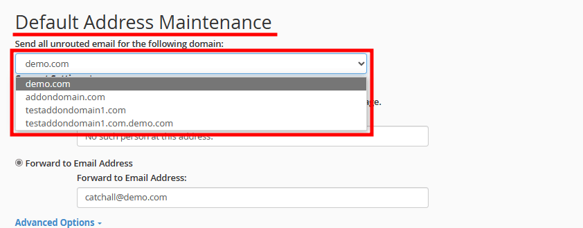 cpanel catchall email details