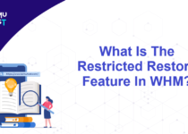 Restricted Restore Feature In WHM